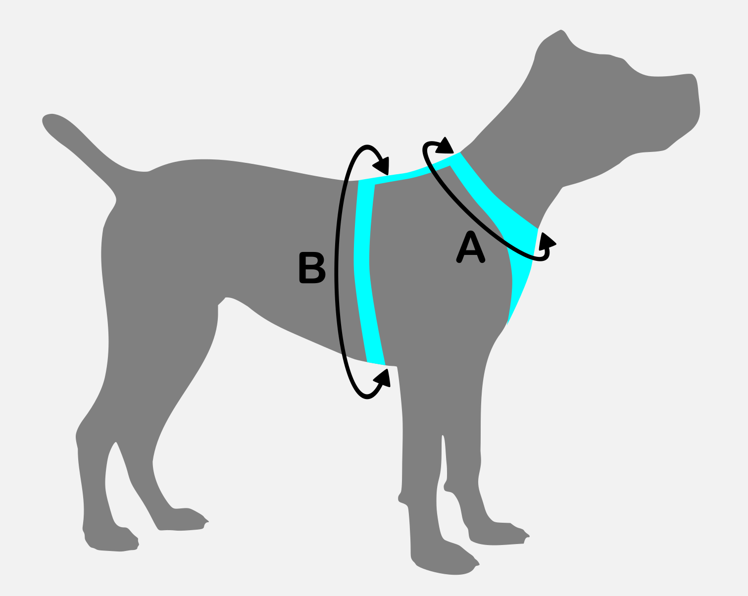 Szelki treningowe dla psa ASTRO błękitne rozmiar XL