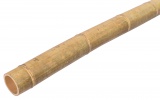 Tyczka bambusowa do ogrodu i akwarium MOSO 180 cm 9-10 cm