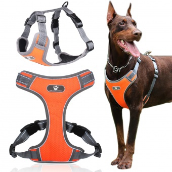 Szelki treningowe dla psa ASTRO pomarańczowe rozmiar XL