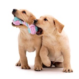 Zestaw 7 zabawek dla psa PINKY różowe szarpaki